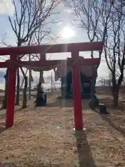 社台稲荷神社の鳥居