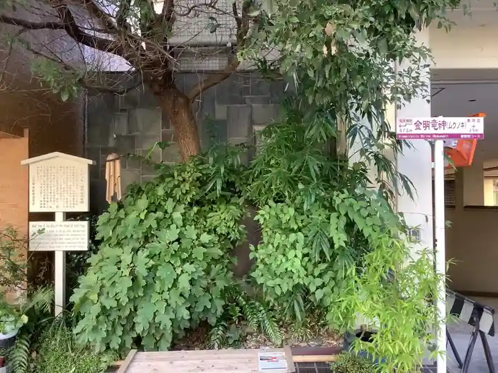 金明竜神社(愛知県)