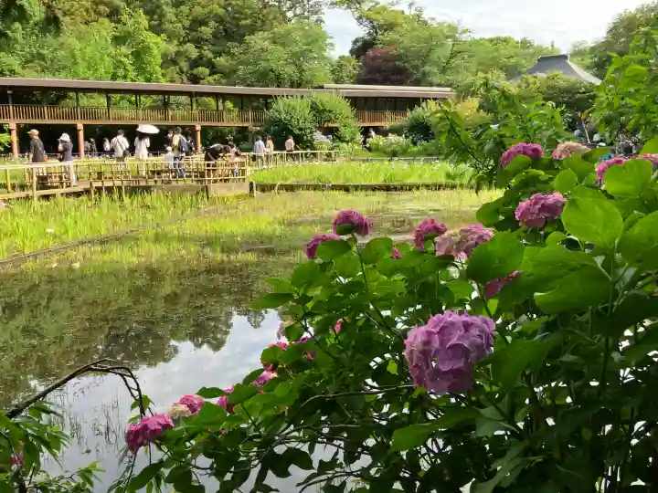 本土寺(千葉県)