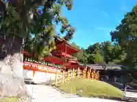 春日大社のその他建物