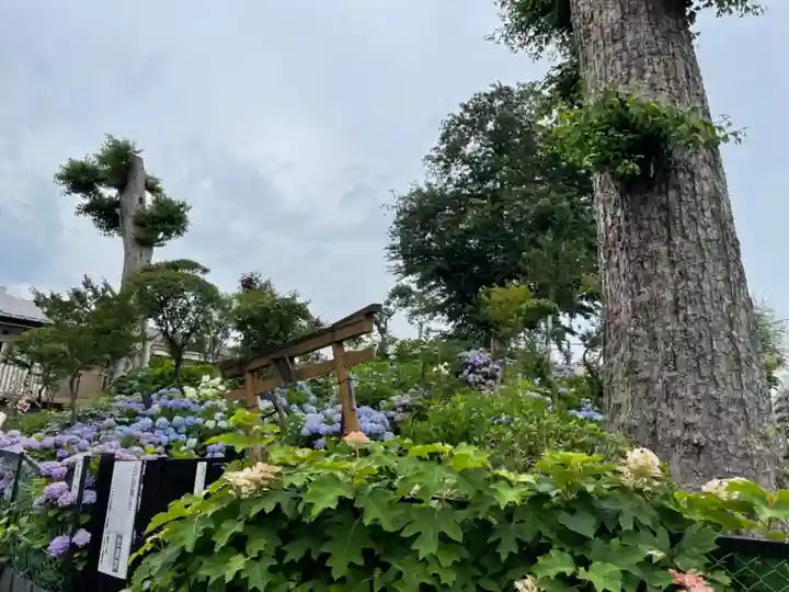 白山神社のその他建物
