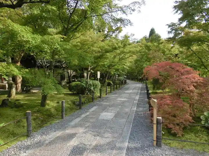 禅林寺(永観堂)(京都府)