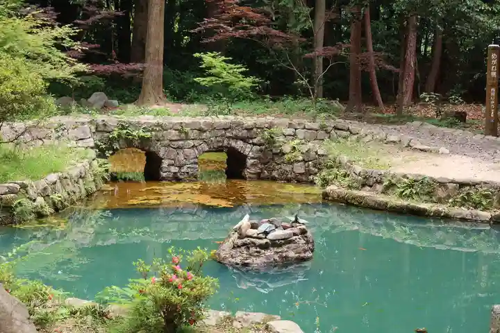 大麻比古神社(徳島県)