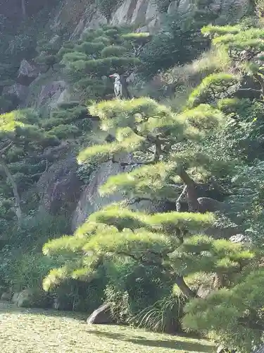 岩崎神社の景色