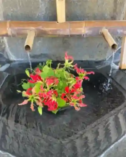 尊永寺(静岡県)