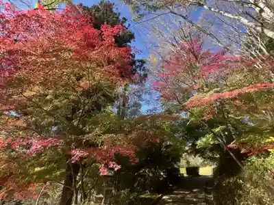 国宝 大法寺(長野県)