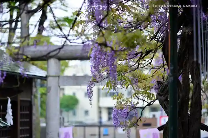 國領神社の庭園