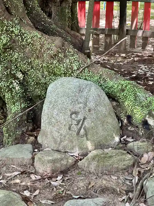観心寺(大阪府)