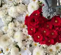 札幌諏訪神社の手水舎