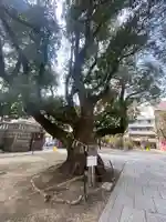 難波神社の自然
