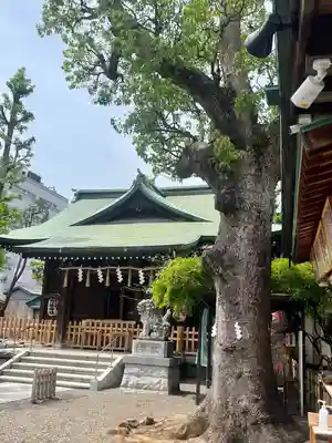 お三の宮日枝神社(神奈川県)
