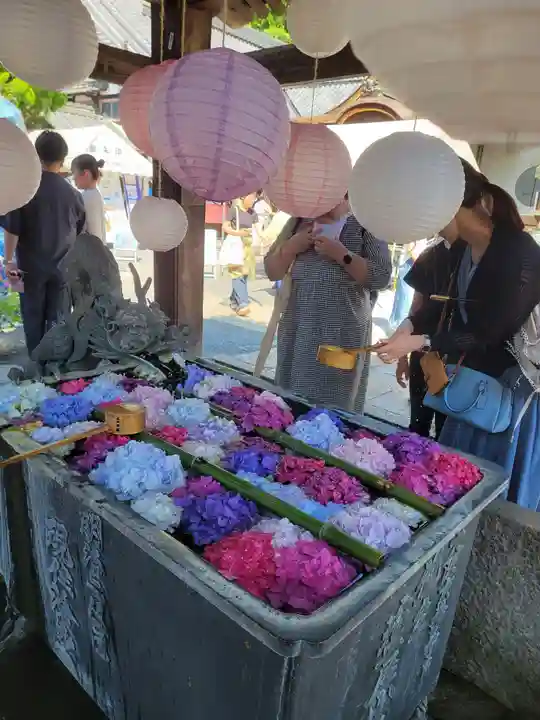 柳谷観音 楊谷寺(京都府)