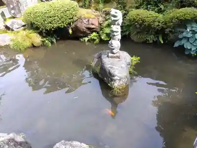 護国寺(富山県)