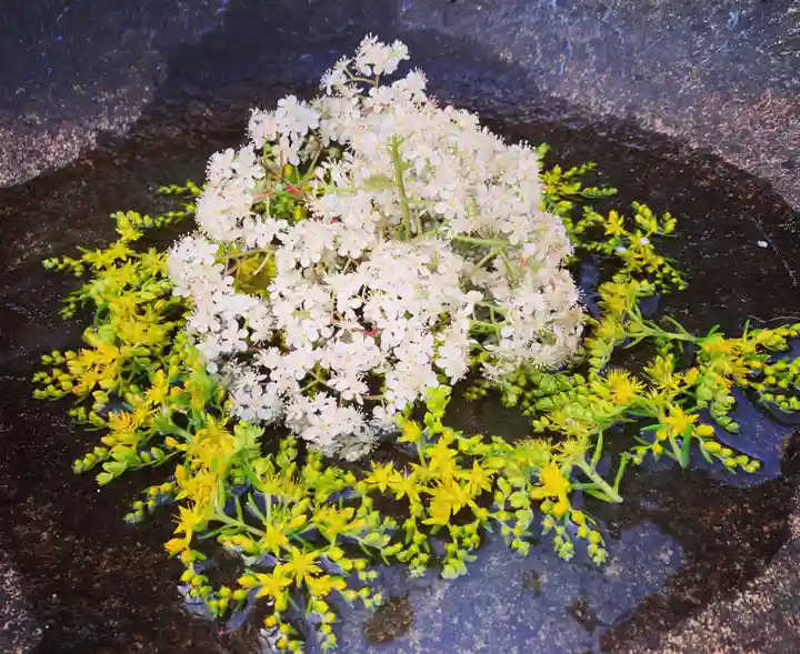 真言宗 善通寺派 薬王寺(香川県)