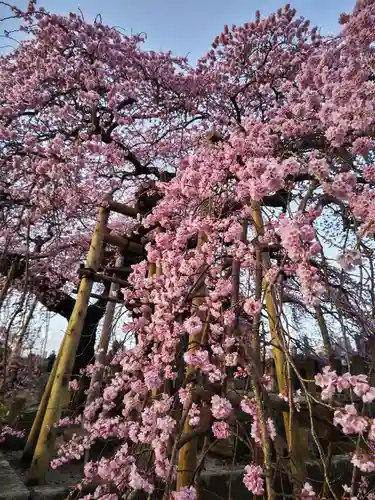 日輪寺(福島県)
