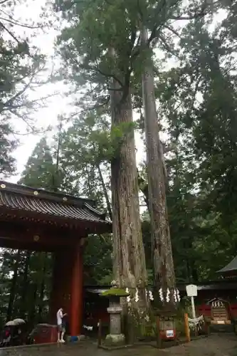 日光二荒山神社の自然