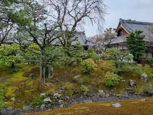 相国寺（相国承天禅寺）(京都府)