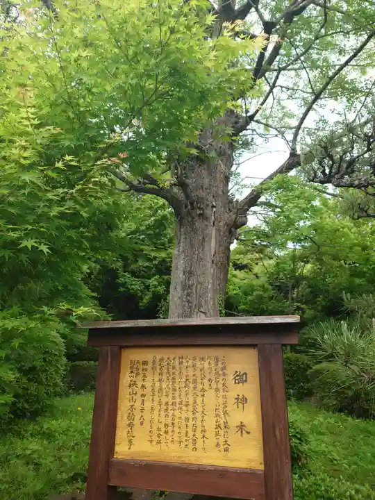 狭山山不動寺の自然