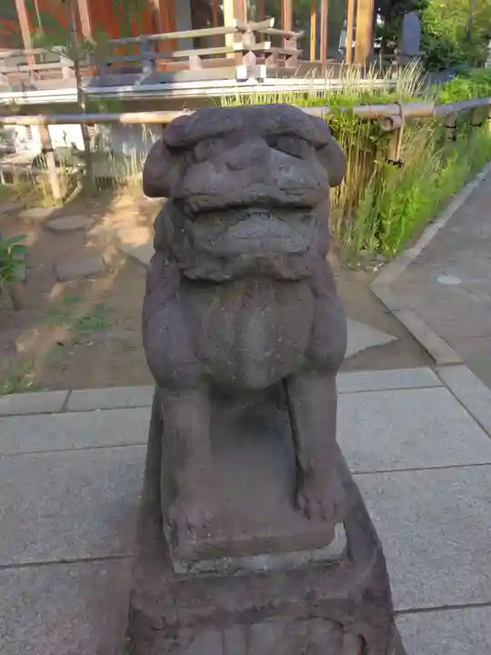 鳩森八幡神社の狛犬