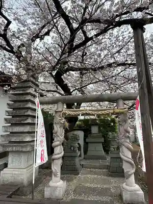 真照寺(神奈川県)