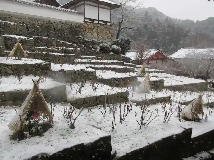長谷寺(奈良県)