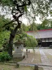 大隣寺(福島県)