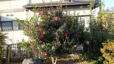 彼方神社の自然