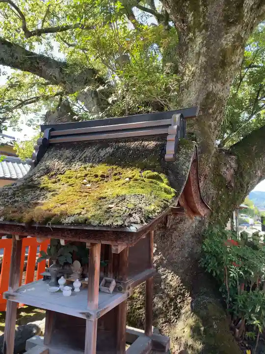藤木社(賀茂別雷神社末社)(京都府)