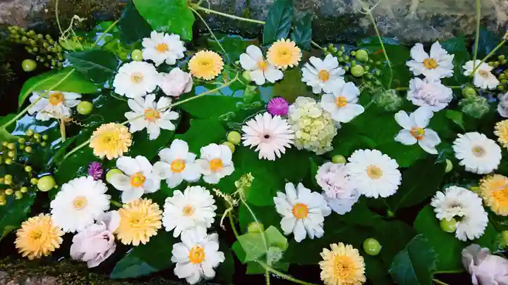 柳津虚空蔵尊 寳性院(宮城県)