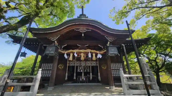 總鎮守八幡神社(愛媛県)