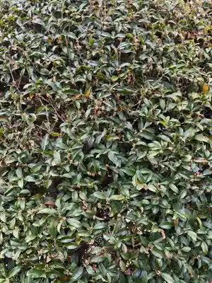 宗栄寺(愛知県)