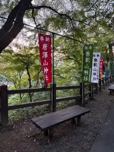 唐澤山神社(栃木県)