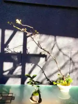 陽運寺(東京都)