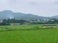 神社(名称不明)の景色