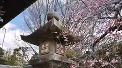 梅宮大社の建物その他