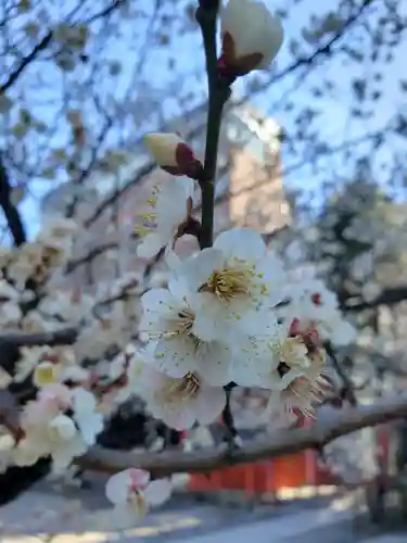 花園神社の自然