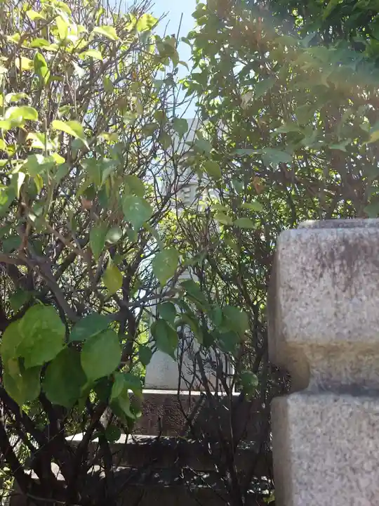 小村井 香取神社(東京都)