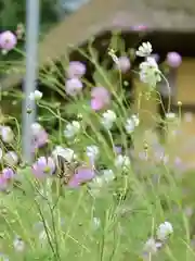 高倉神社(福島県)