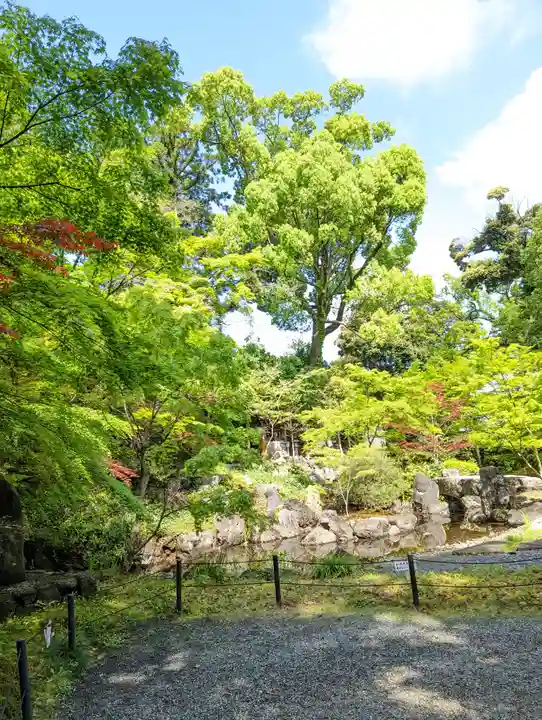 長岡天満宮(京都府)