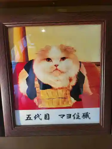 猫猫寺(京都府)