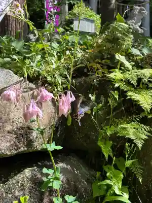 日光大室高龗神社(栃木県)