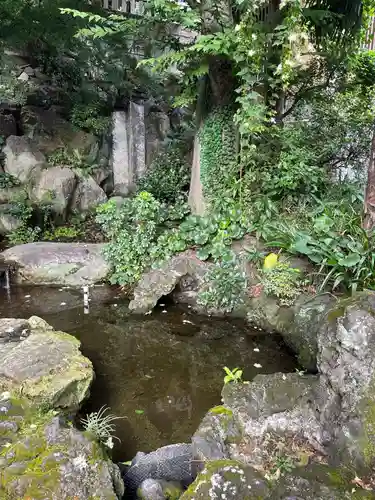 桐ヶ谷氷川神社の自然