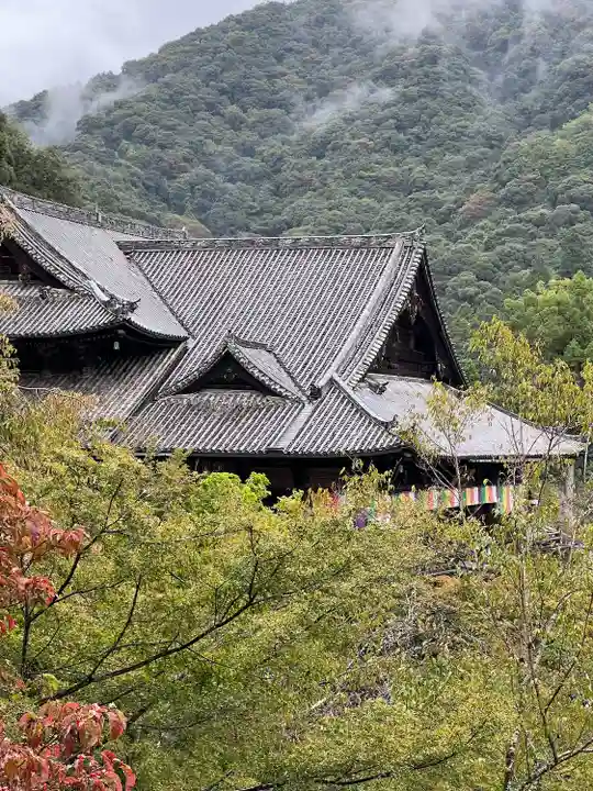 長谷寺(奈良県)