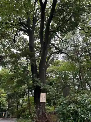 柴崎神社(千葉県)