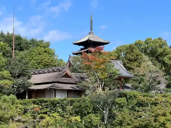 仁和寺(京都府)