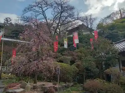 岡寺(龍蓋寺)(奈良県)