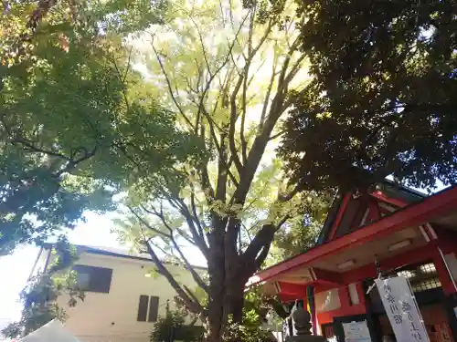 笠䅣稲荷神社(神奈川県)