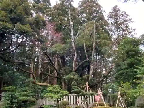 彌彦神社の庭園