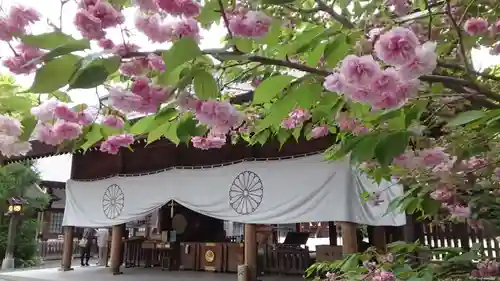 阿佐ヶ谷神明宮(東京都)