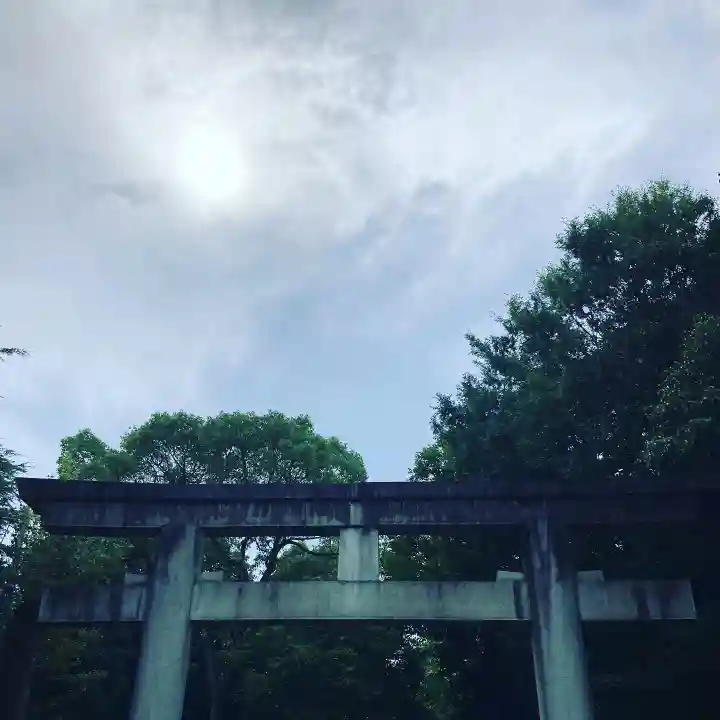 和泉國一之宮 大鳥大社の鳥居